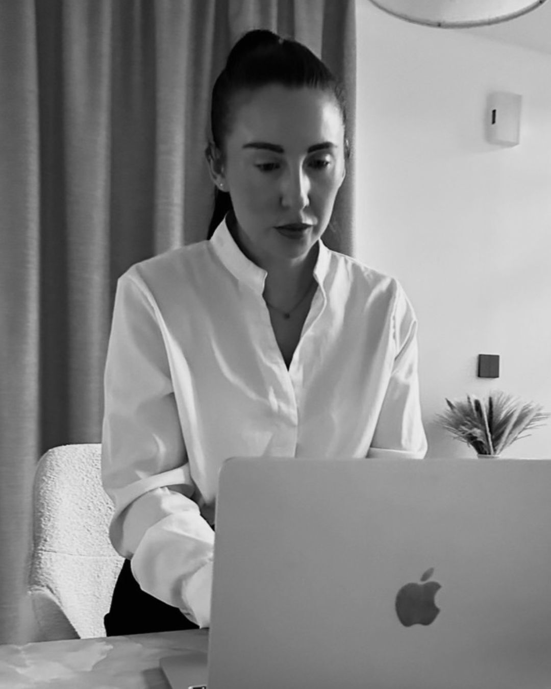 website pic 2